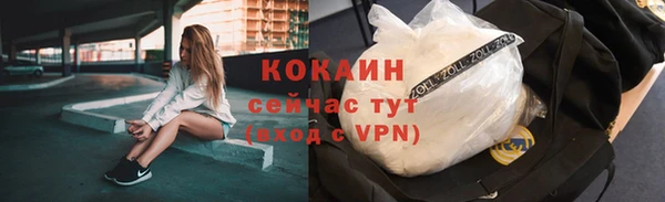 прущий лед Вяземский