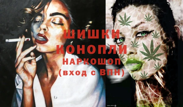 прущий лед Вяземский
