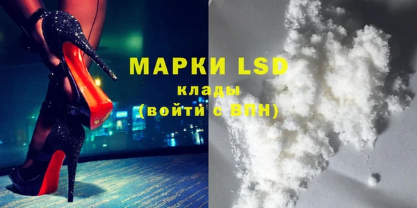 прущий лед Вяземский