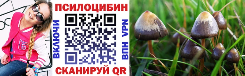 Купить закладки Кирс Псилоцибиновые грибы мицелий